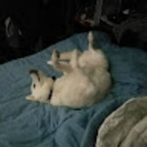 Meet your Posher, John